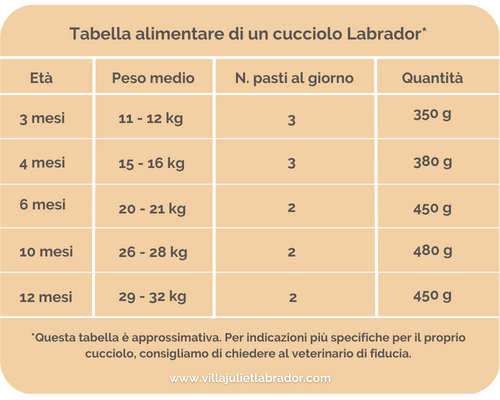 tabella-alimentare-cucciolo-labrador